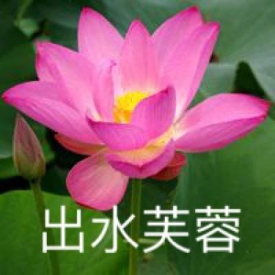 代号g1手游下载